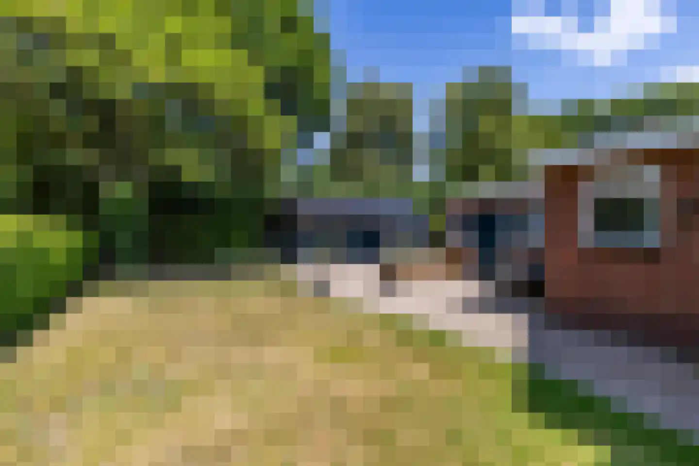 Knilles Wytseswei 13 Sumar thumbnail 22