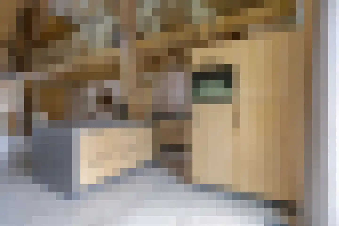 Knilles Wytseswei 18 Sumar thumbnail 10