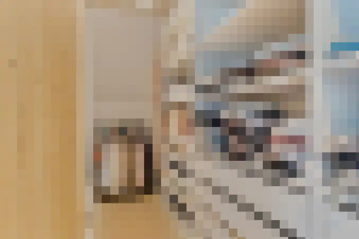 Knilles Wytseswei 18 Sumar thumbnail 18
