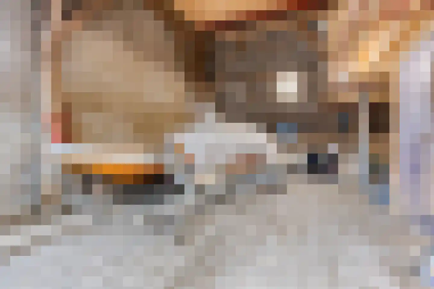 Knilles Wytseswei 18 Sumar thumbnail 23
