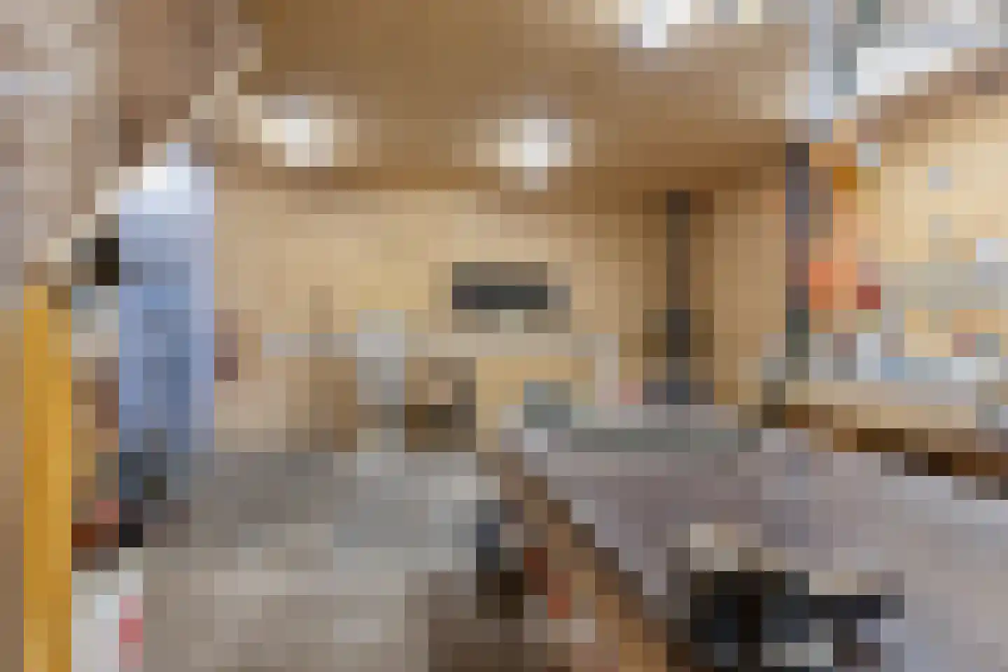 Knilles Wytseswei 18 Sumar thumbnail 27