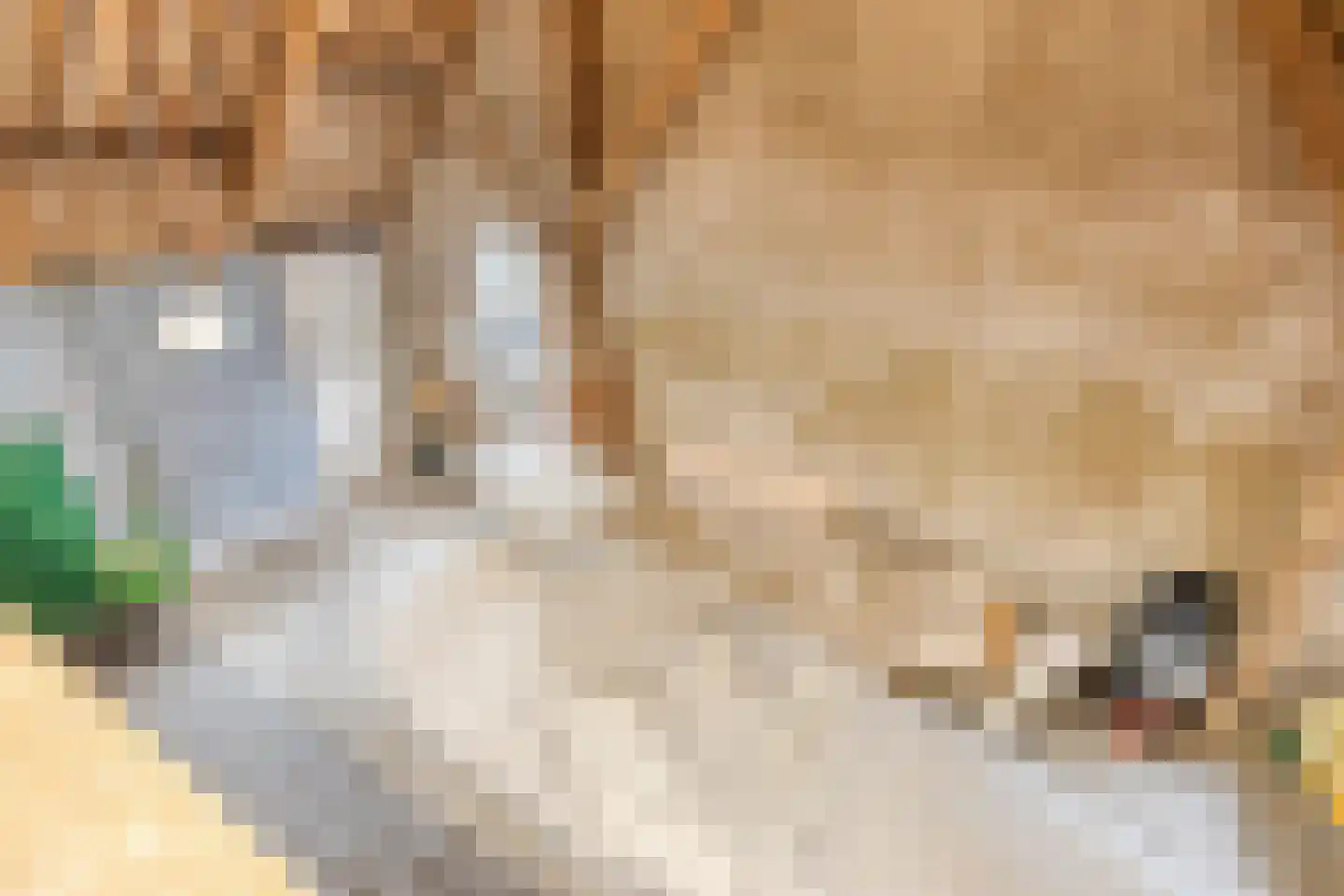 Knilles Wytseswei 18 Sumar thumbnail 30