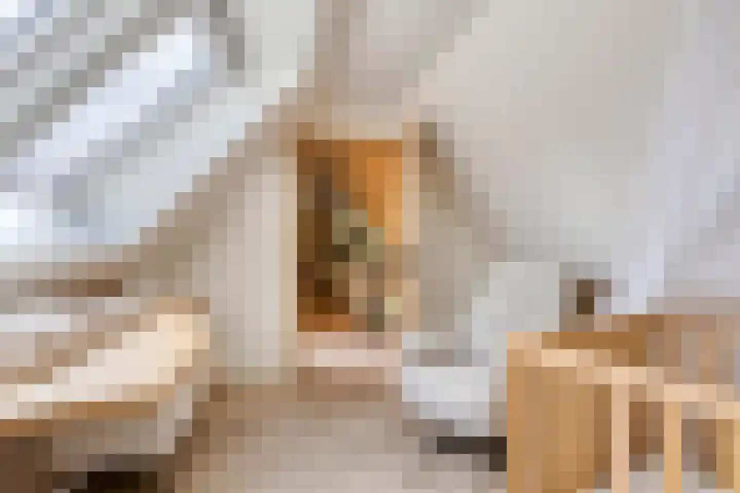 Knilles Wytseswei 18 Sumar thumbnail 42