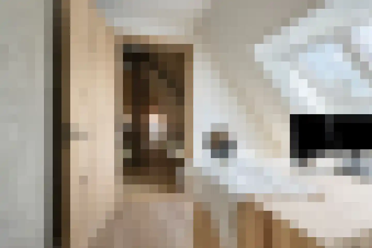 Knilles Wytseswei 18 Sumar thumbnail 44