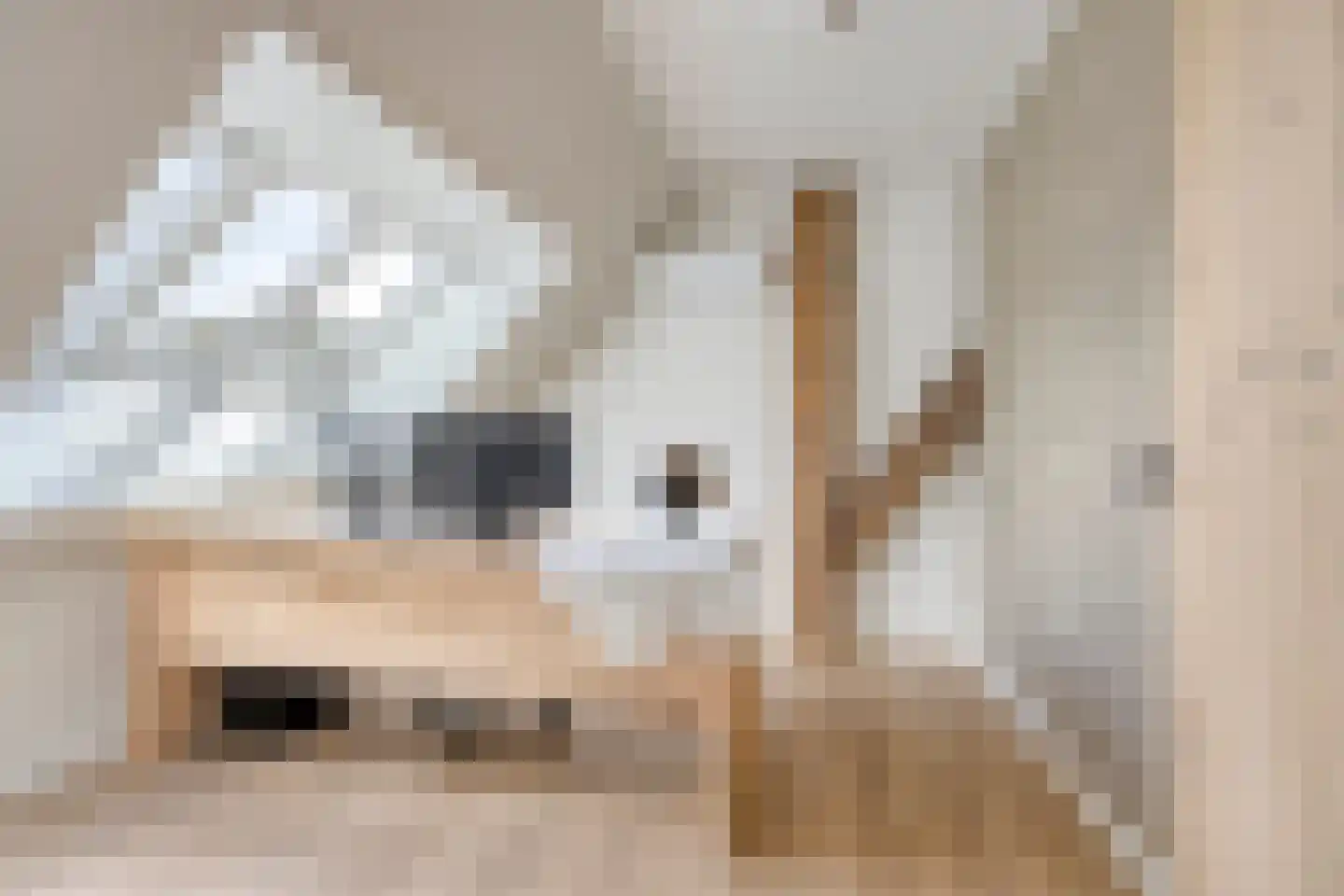 Knilles Wytseswei 18 Sumar thumbnail 45