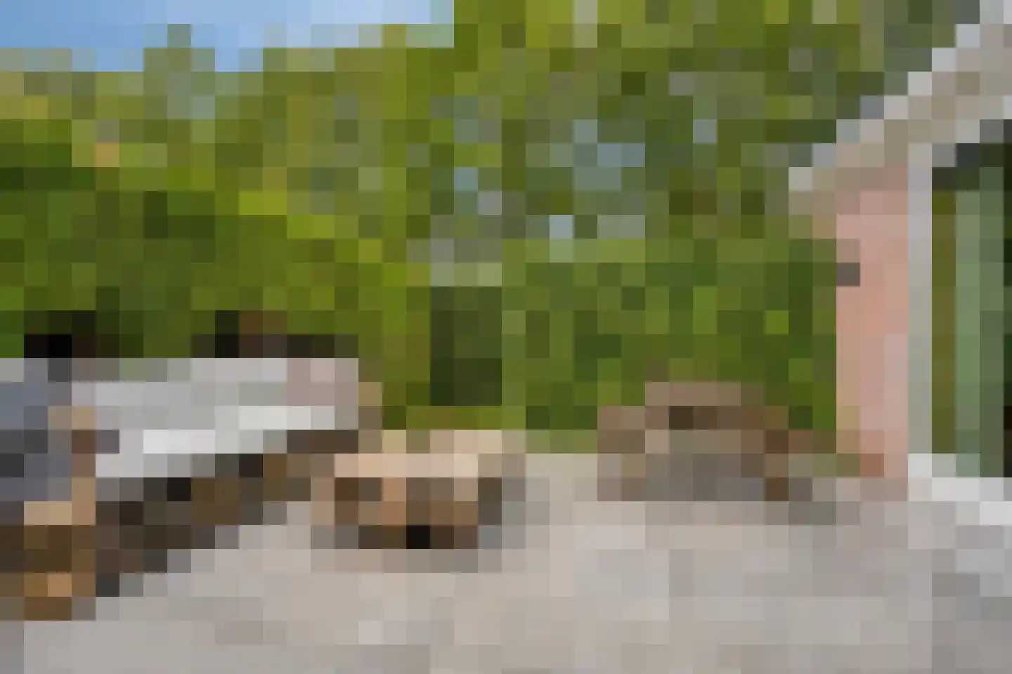 Knilles Wytseswei 18 Sumar thumbnail 46