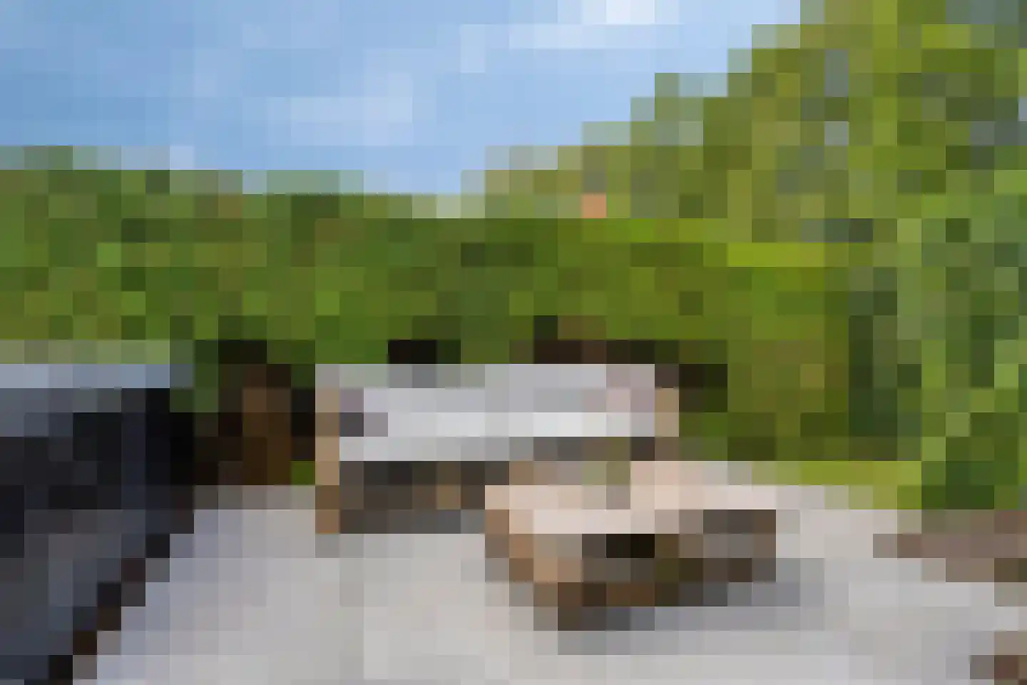 Knilles Wytseswei 18 Sumar thumbnail 47