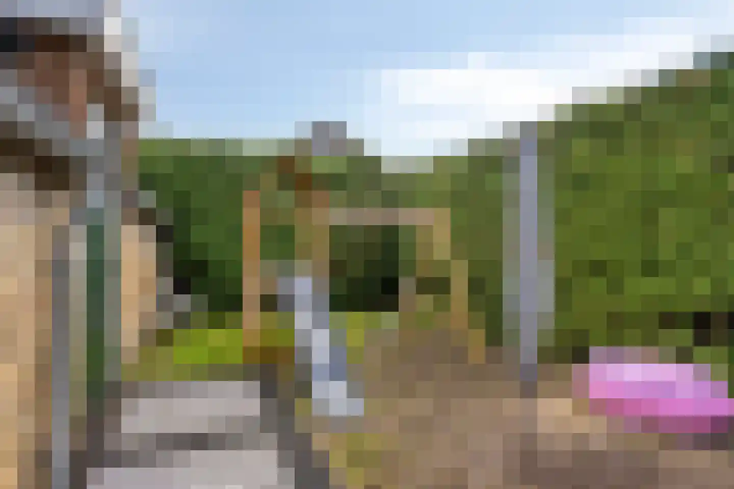 Knilles Wytseswei 18 Sumar thumbnail 50