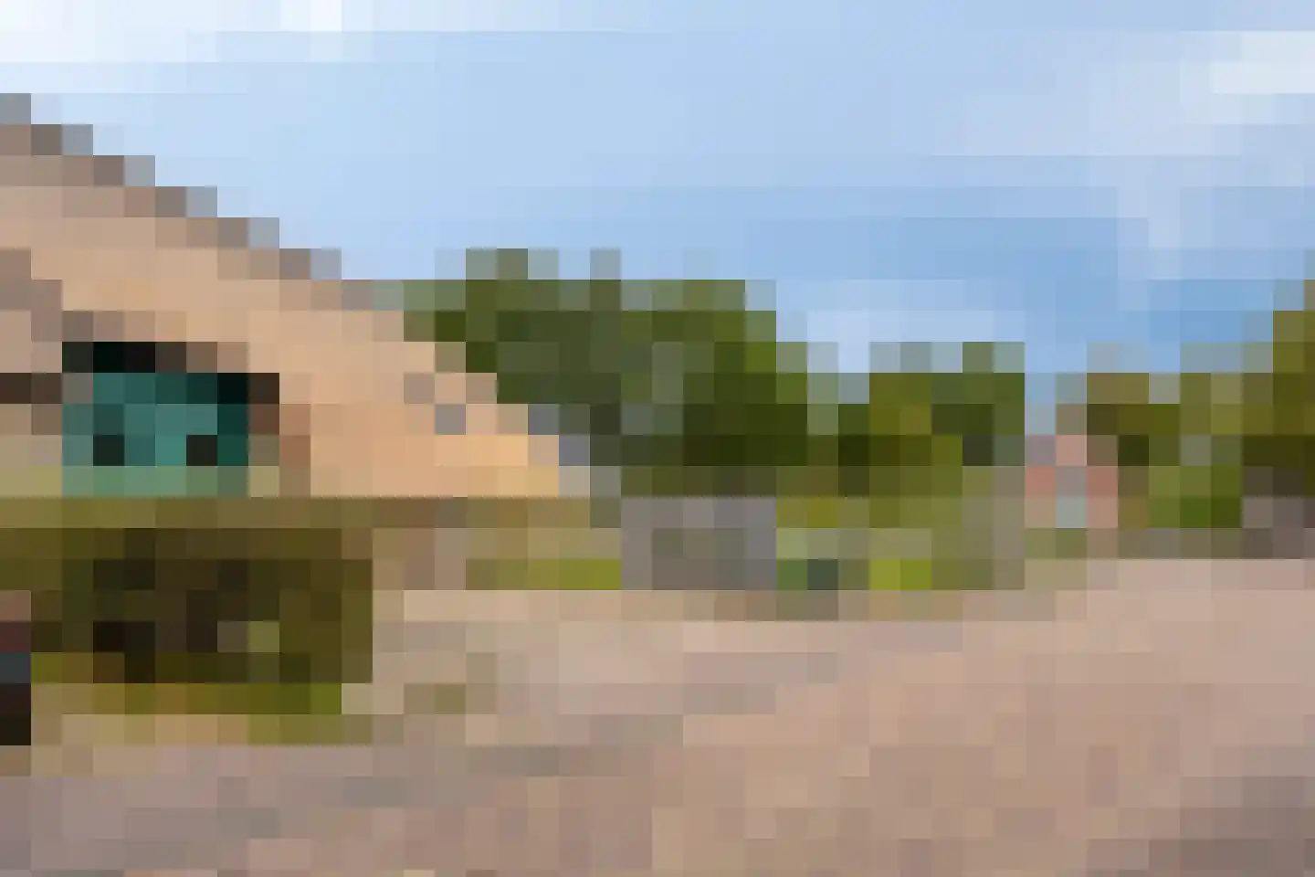 Knilles Wytseswei 18 Sumar thumbnail 53