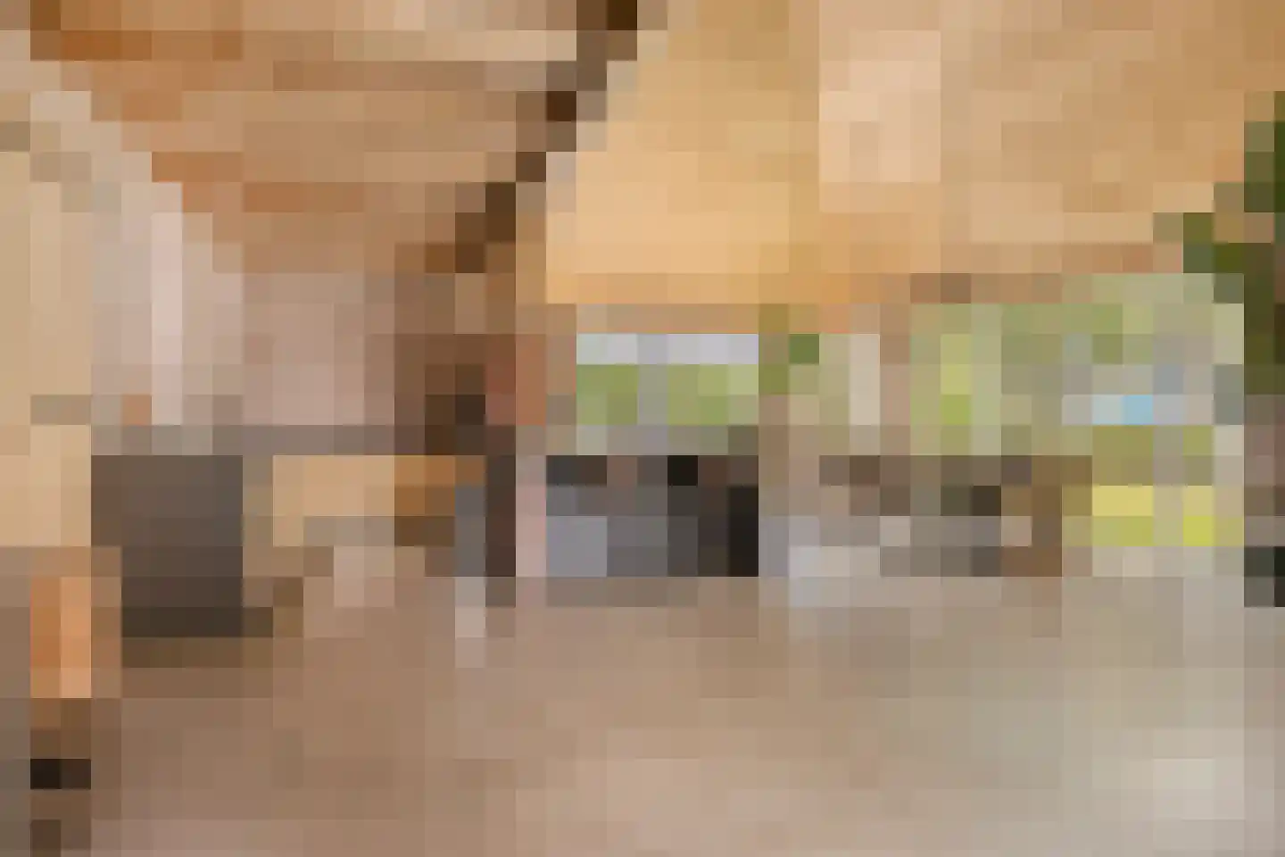 Knilles Wytseswei 18 Sumar thumbnail 8