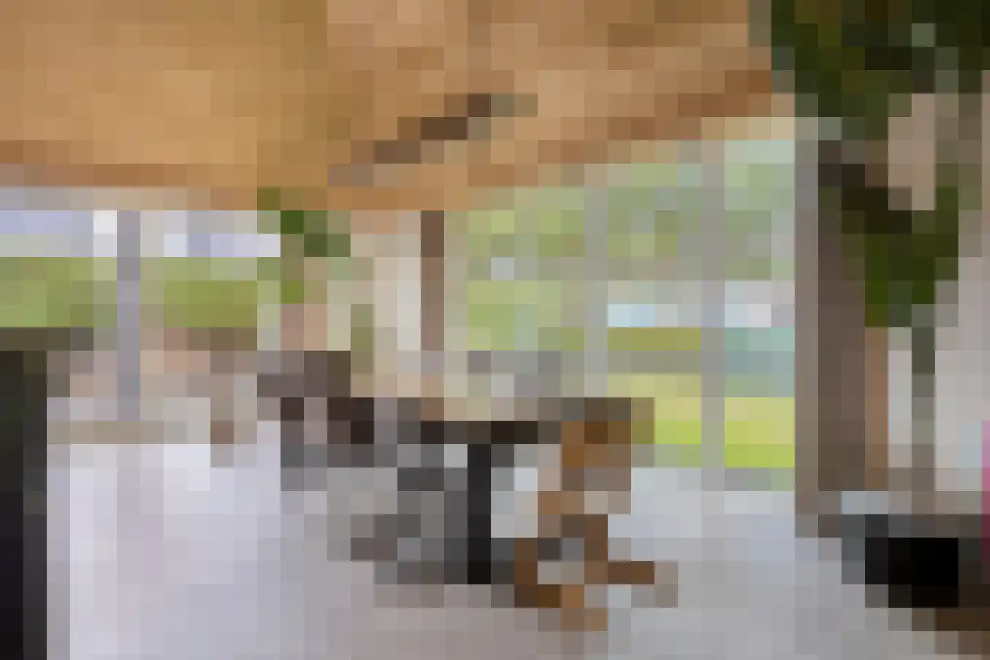 Knilles Wytseswei 18 Sumar thumbnail 9