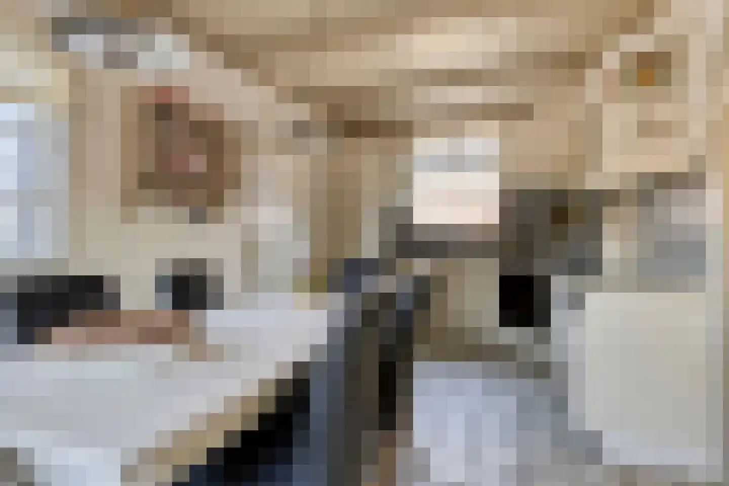 Knilles Wytseswei 7 Sumar thumbnail 15