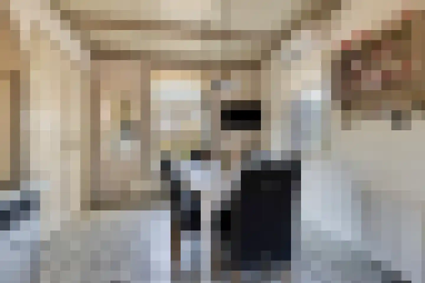 Knilles Wytseswei 7 Sumar thumbnail 16