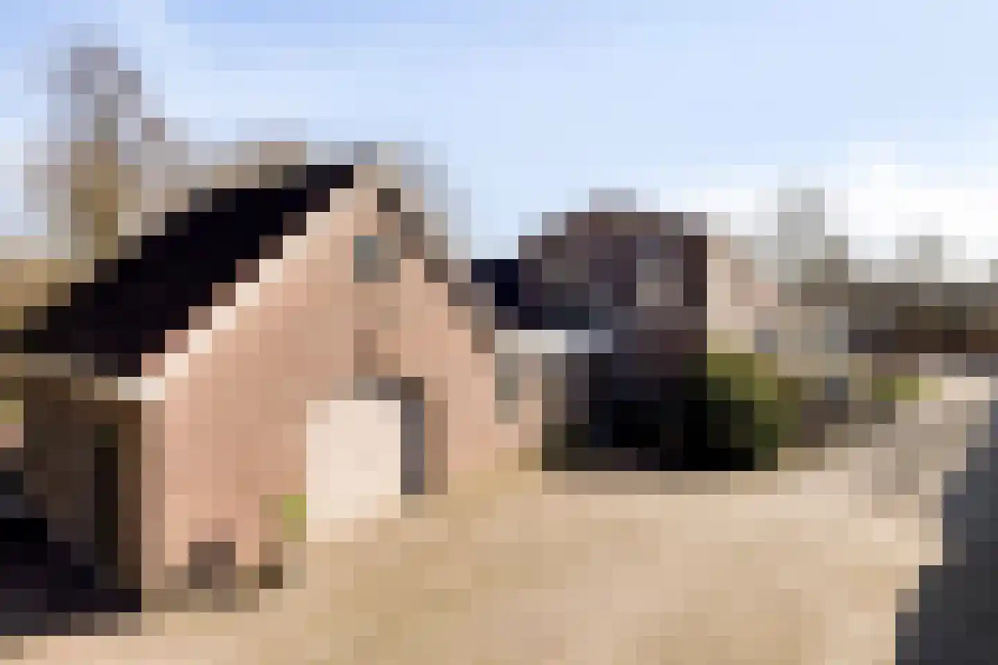 Knilles Wytseswei 7 Sumar foto 2