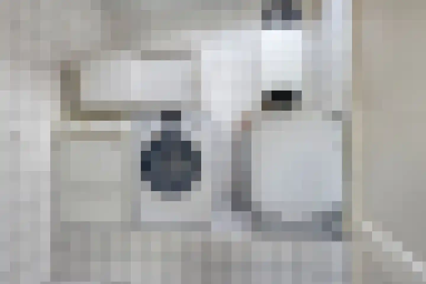 Knilles Wytseswei 7 Sumar thumbnail 23