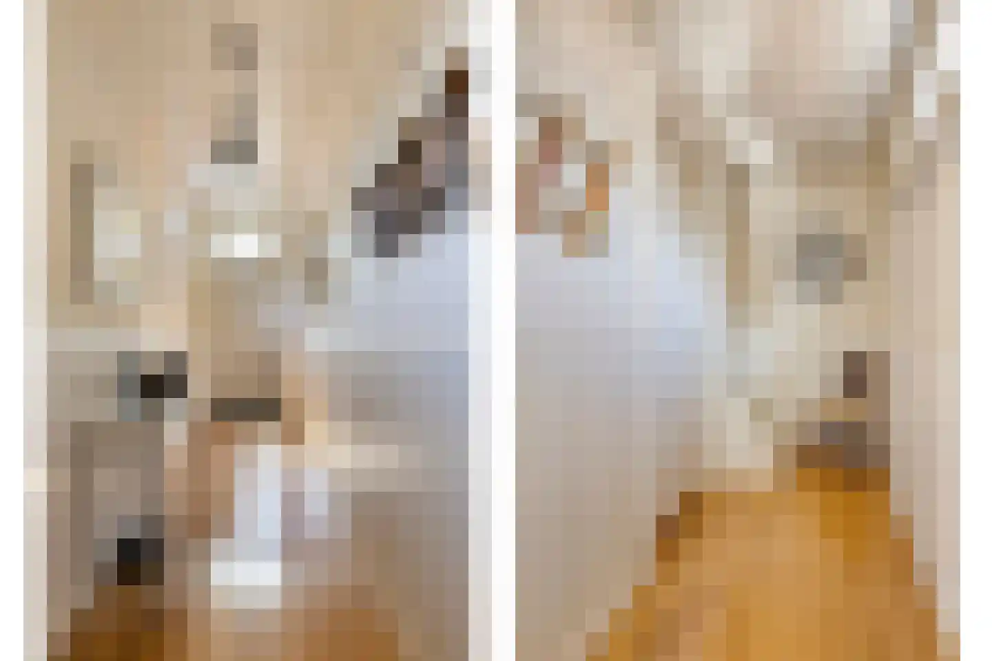 Knilles Wytseswei 7 Sumar thumbnail 24