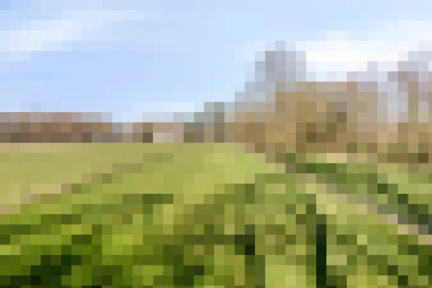 Knilles Wytseswei 7 Sumar foto 3