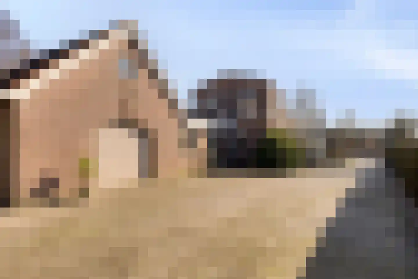Knilles Wytseswei 7 Sumar thumbnail 37