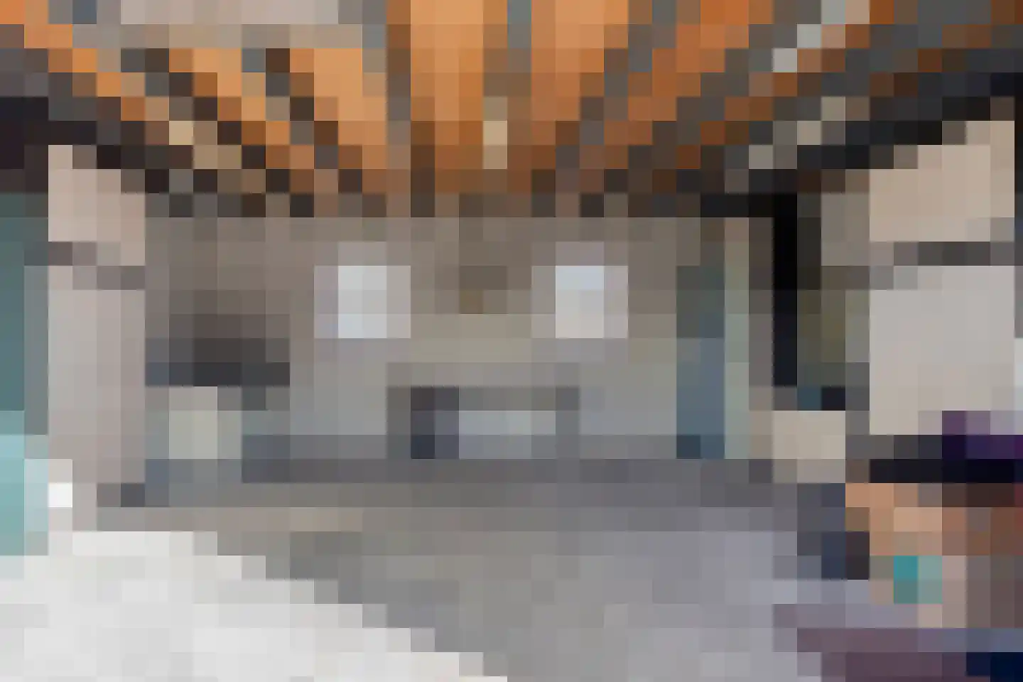 Knilles Wytseswei 7 Sumar thumbnail 39