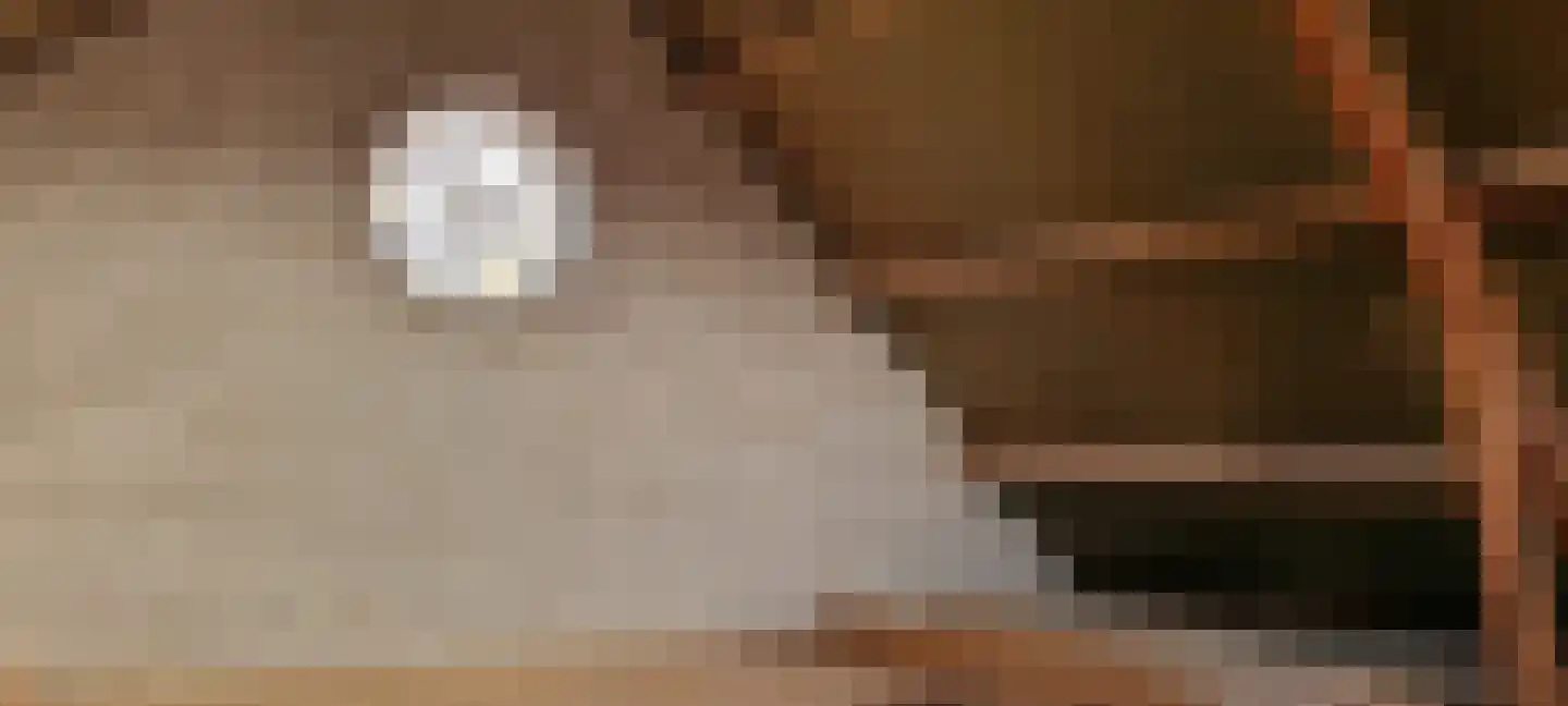 Knilles Wytseswei 7 Sumar thumbnail 40