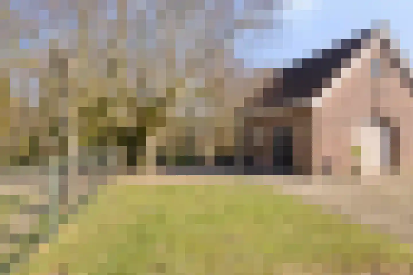 Knilles Wytseswei 7 Sumar thumbnail 41