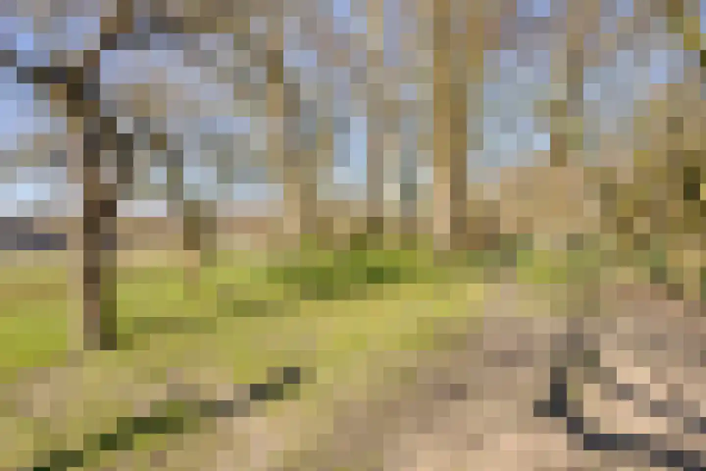 Knilles Wytseswei 7 Sumar thumbnail 42