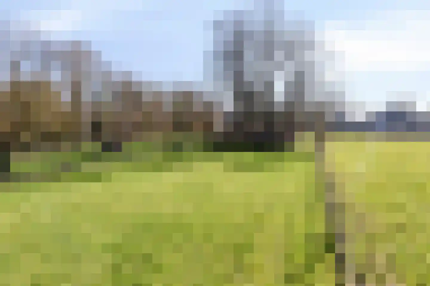 Knilles Wytseswei 7 Sumar thumbnail 43
