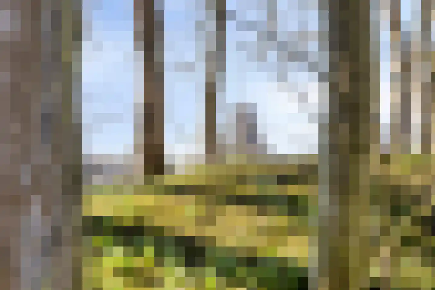Knilles Wytseswei 7 Sumar thumbnail 44