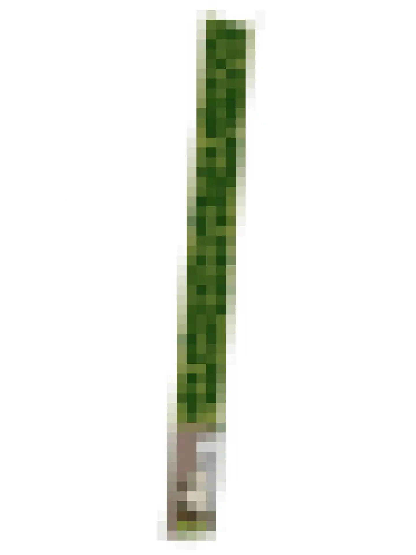 Knilles Wytseswei 7 Sumar thumbnail 56