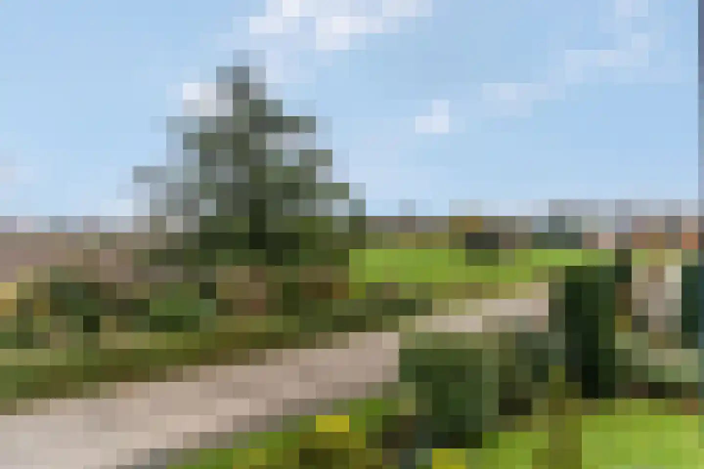 Kniphoek 1 a Eck en Wiel thumbnail 53