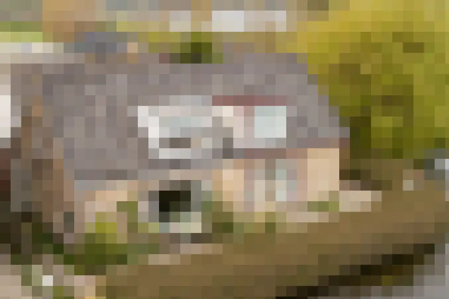 Kniplaan 1 in Leidschendam