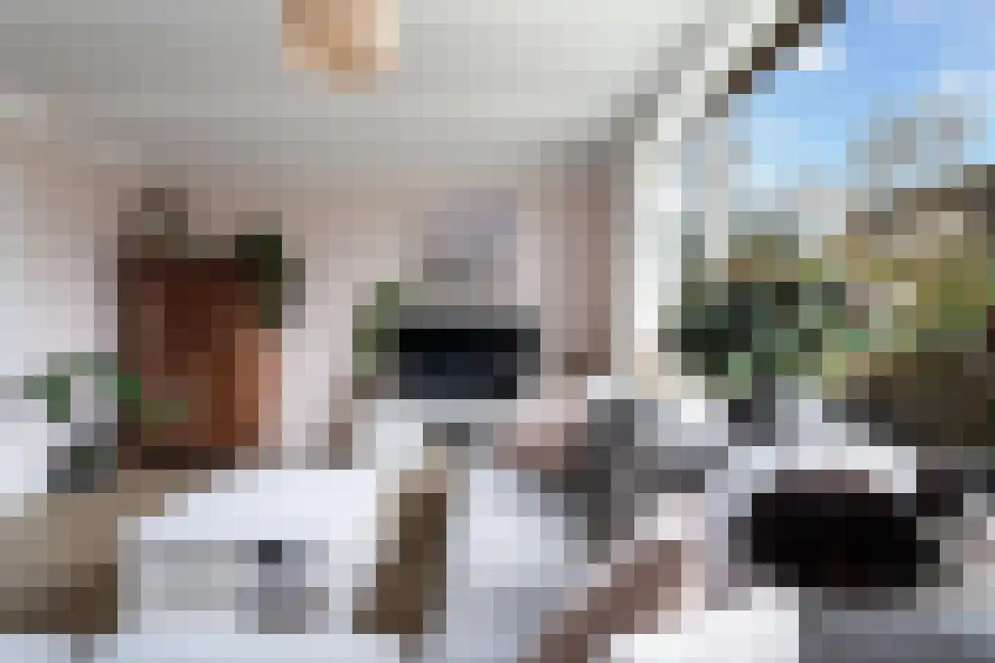 Kniplaan 1 Leidschendam thumbnail 20