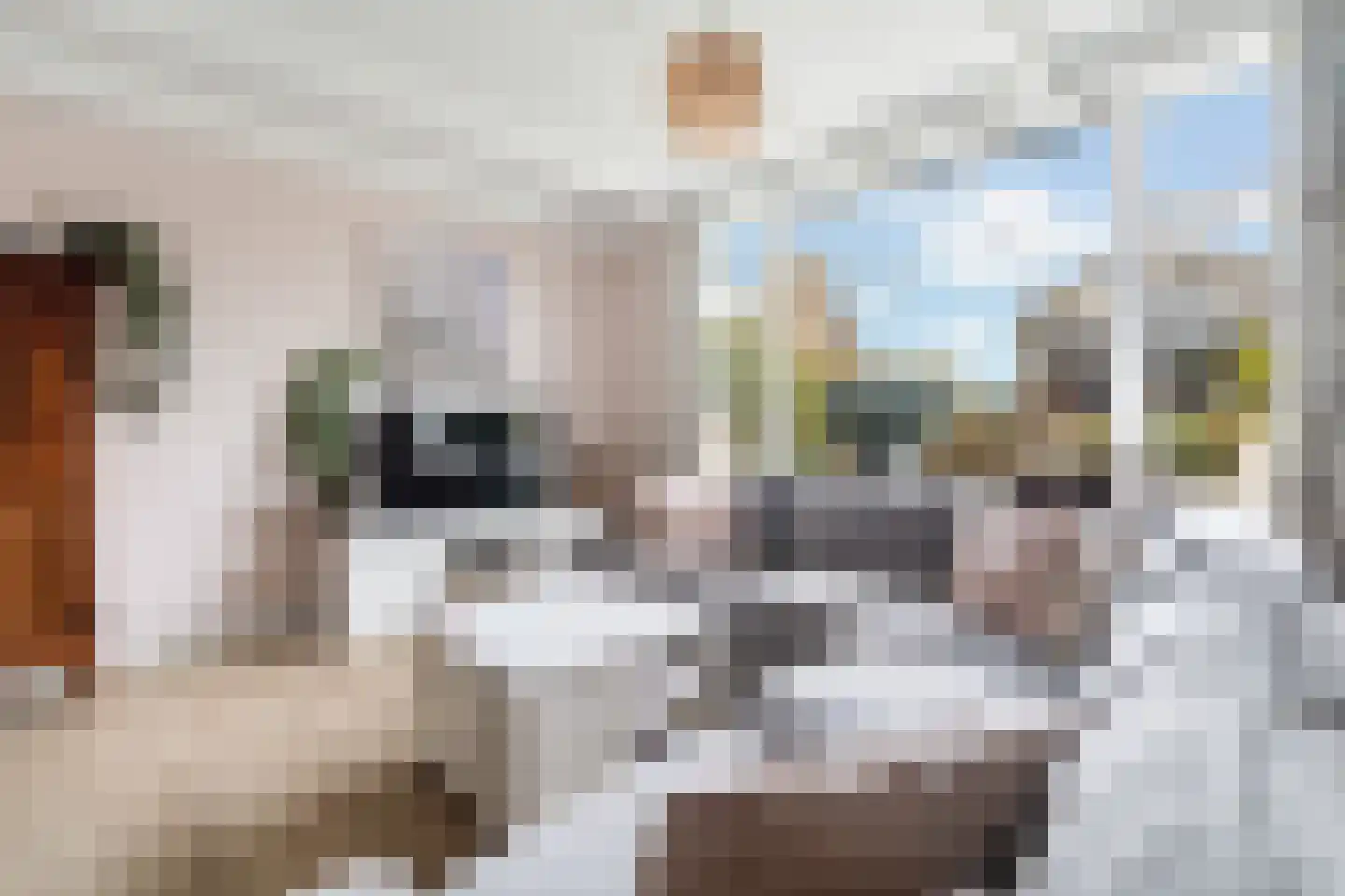 Kniplaan 1 Leidschendam thumbnail 21