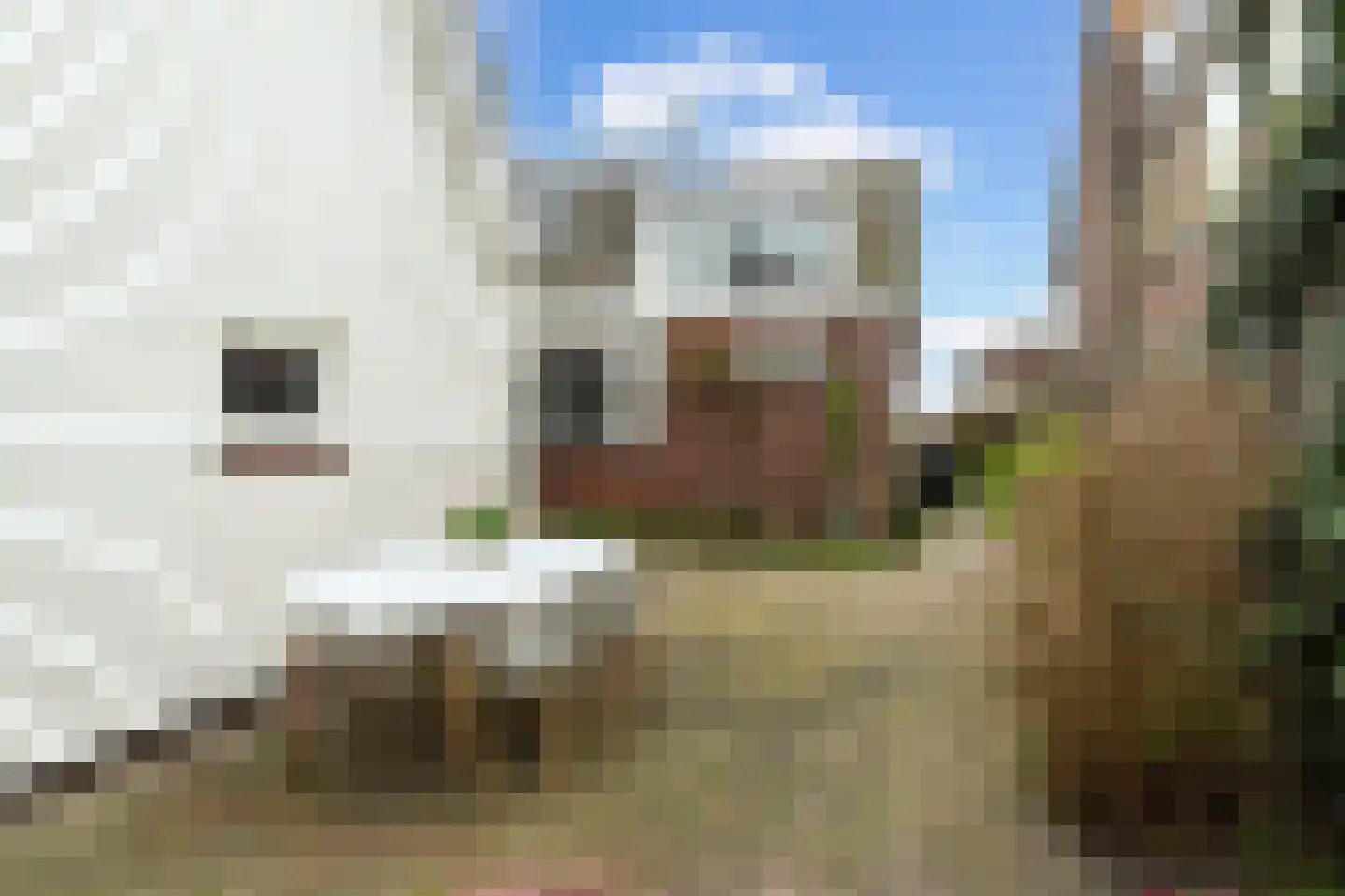 Kniplaan 1 Leidschendam thumbnail 36