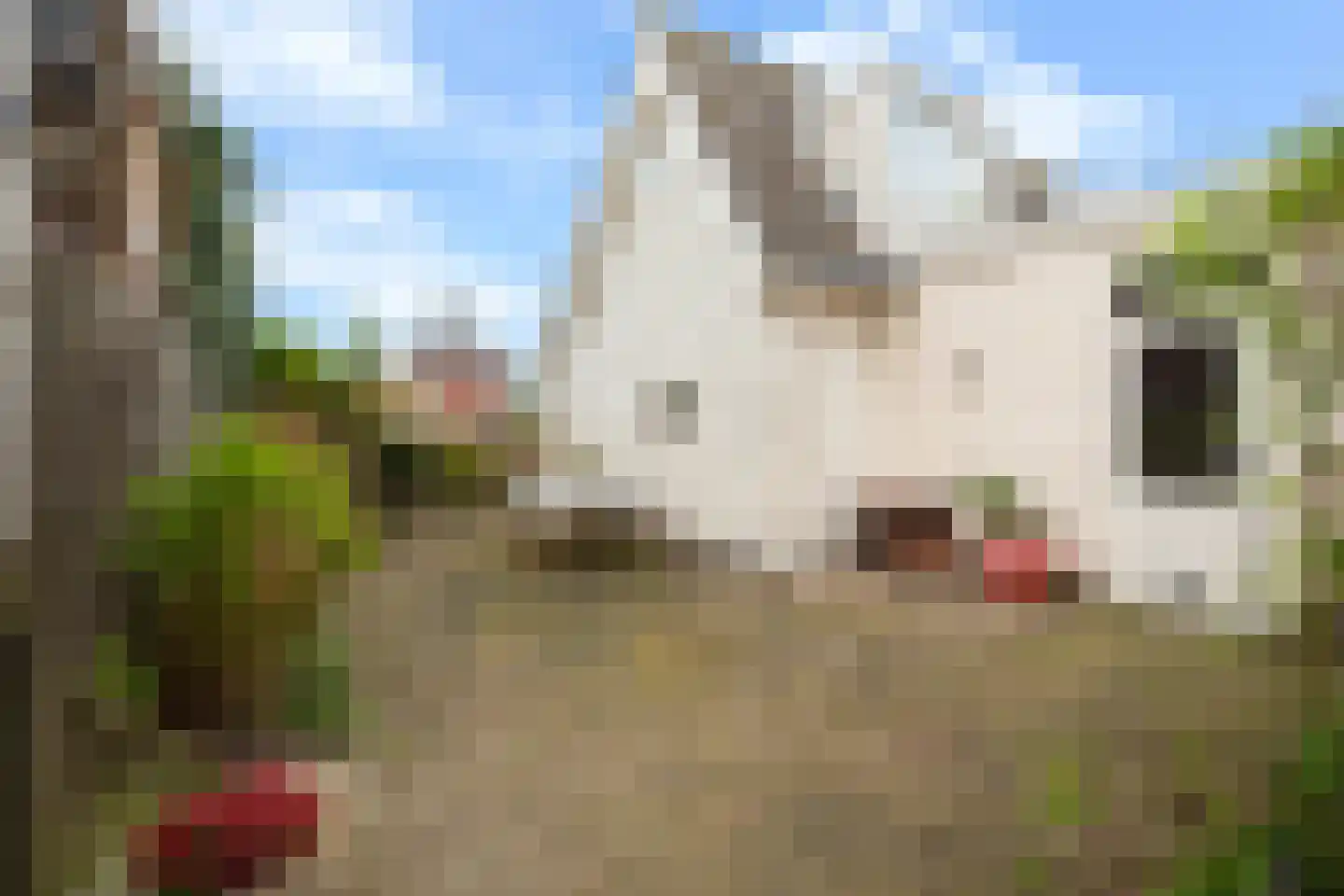 Kniplaan 1 Leidschendam thumbnail 4