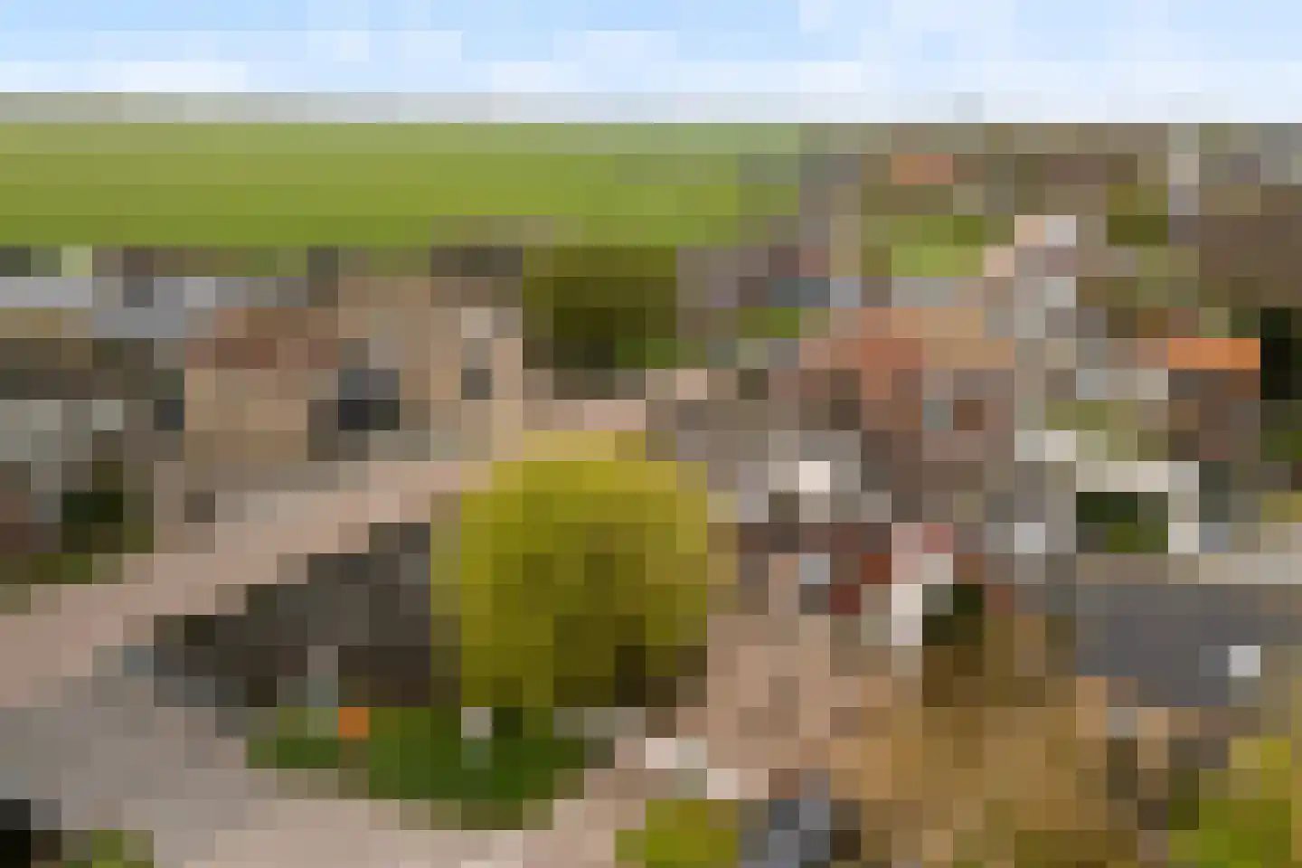 Kniplaan 1 Leidschendam thumbnail 63