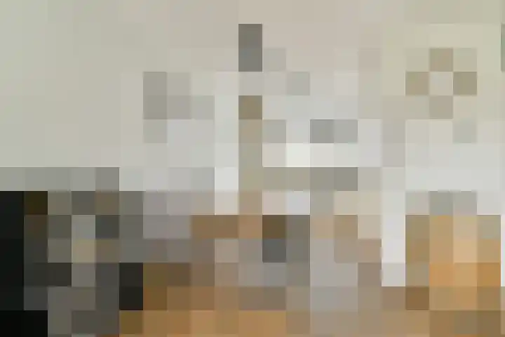 Knipmolenweg 23 Gouda thumbnail 12