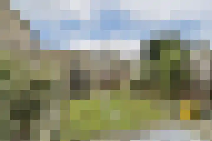 Knipmolenweg 23 Gouda thumbnail 37