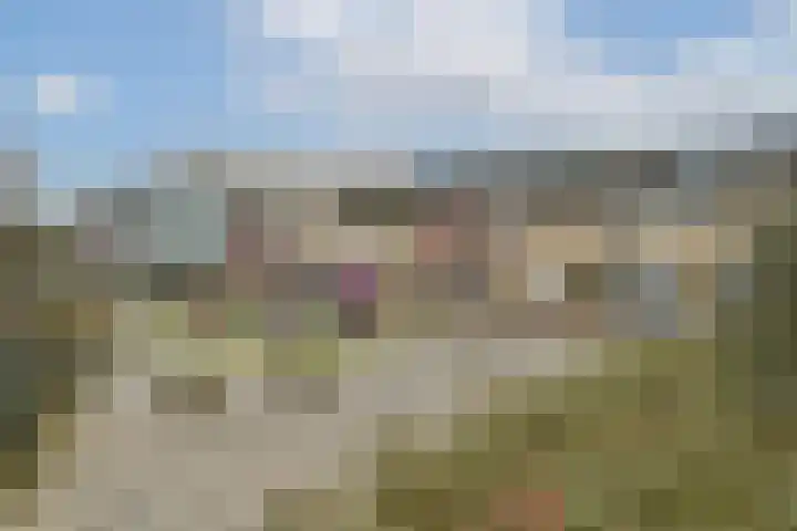 Knipmolenweg 23 Gouda thumbnail 40