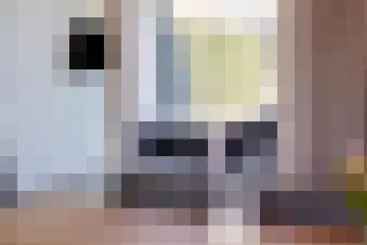 Knippekamp 19 Mierlo thumbnail 24