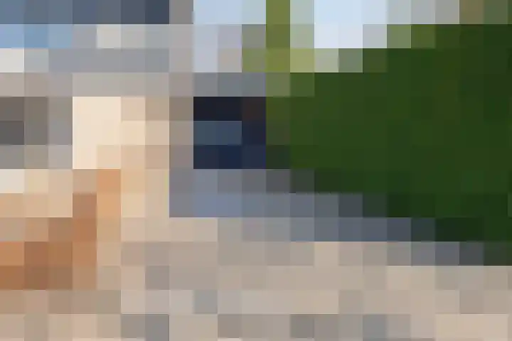 Knippekamp 19 Mierlo thumbnail 27