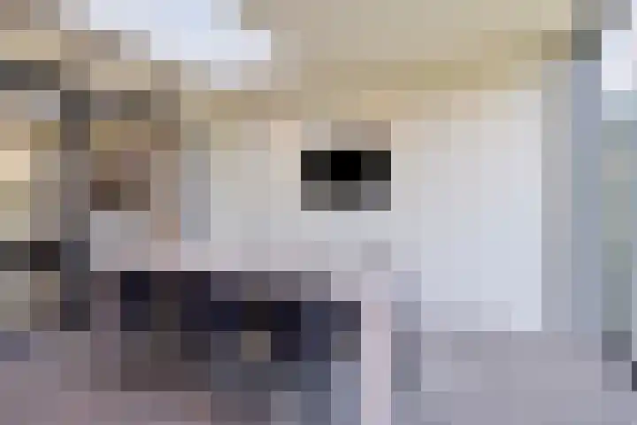Knippekamp 19 Mierlo thumbnail 28