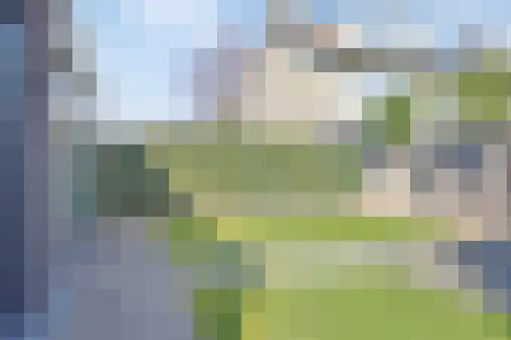 Knippekamp 19 Mierlo thumbnail 30