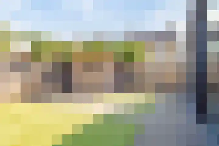 Knippekamp 19 Mierlo thumbnail 31