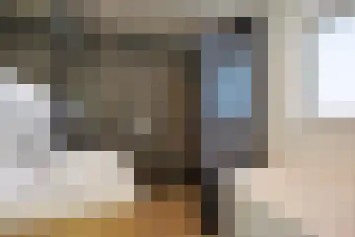 Knippekamp 19 Mierlo thumbnail 40