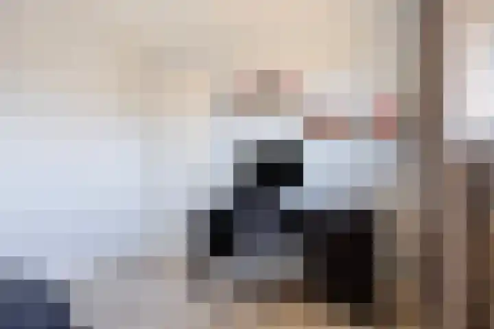 Knippekamp 19 Mierlo thumbnail 42