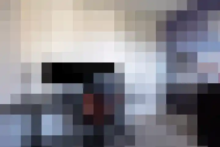 Knippekamp 19 Mierlo thumbnail 43