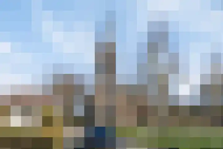 Knippekamp 19 Mierlo thumbnail 57