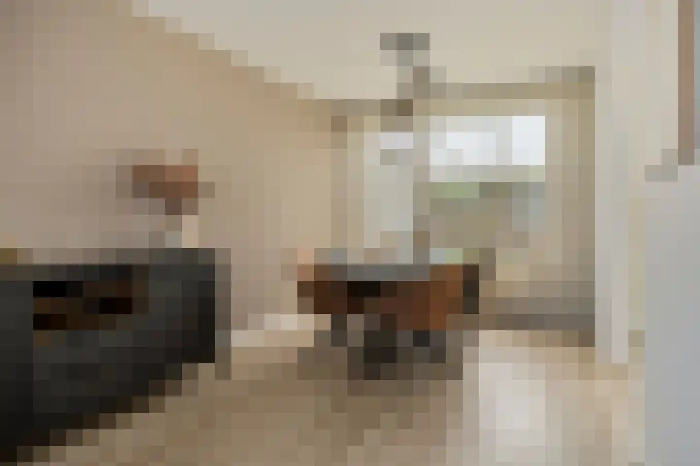 Knippenbergstraat 9 Deurne thumbnail 11