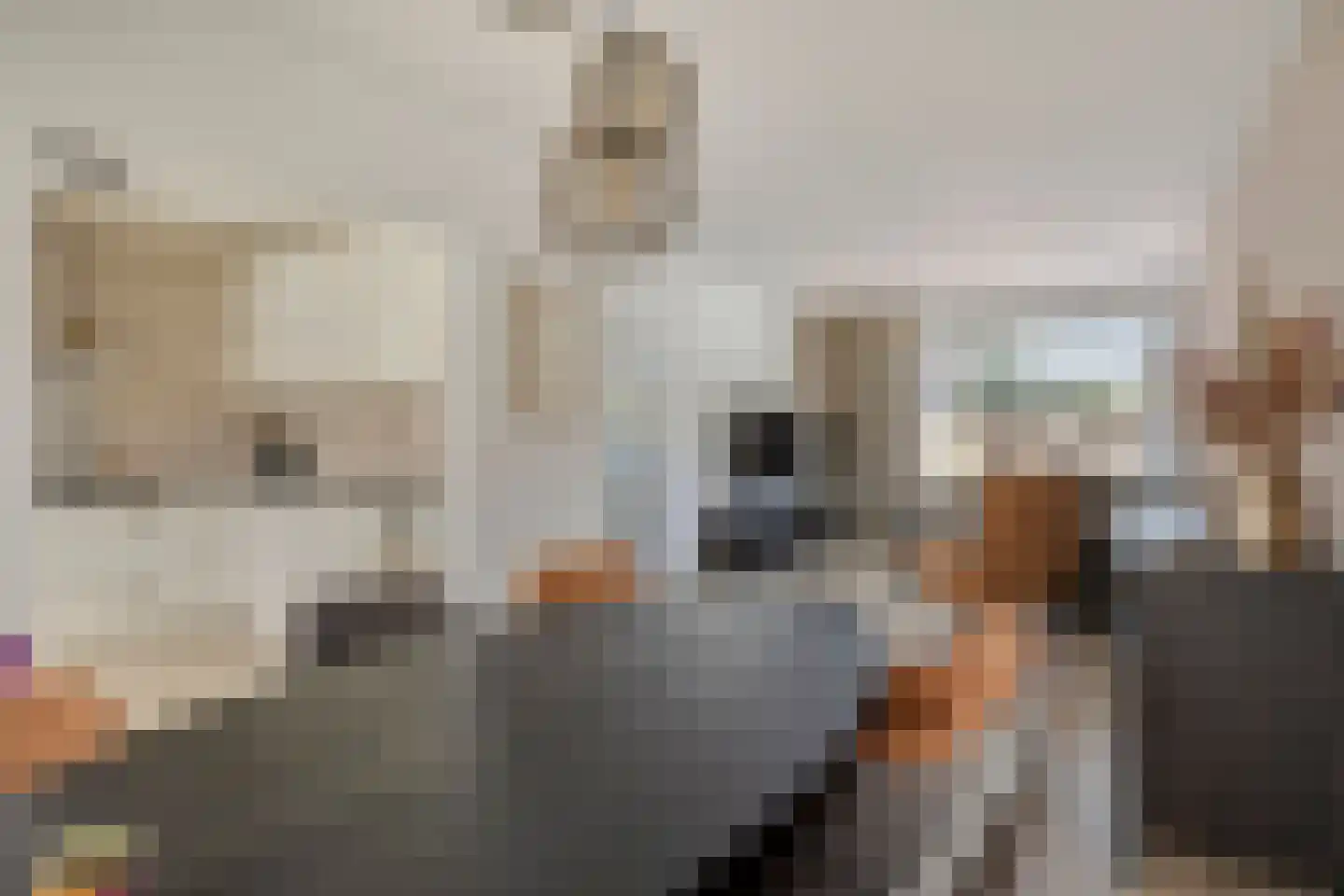 Knippenbergstraat 9 Deurne thumbnail 12